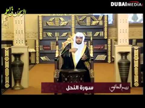 صالح المغامسي روح المعاني 26 سورة النحل ج2