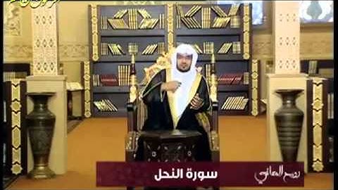 ‫صالح المغامسي - روح المعاني 26 - سورة النحل ج2‬