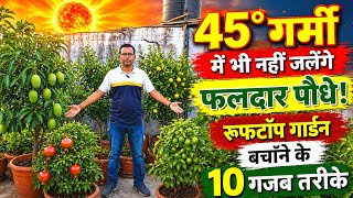 45° गर्मी में भी नहीं जलेंगे फलदार पौधे! रूफटॉप गार्डन बचाने के 10 गजब तरीके