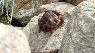 Sony dsc h200 photos