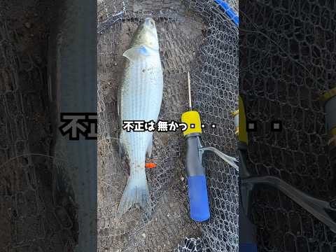 つまようじで釣り竿作ってみた #ヘビさんのアウトドア日誌