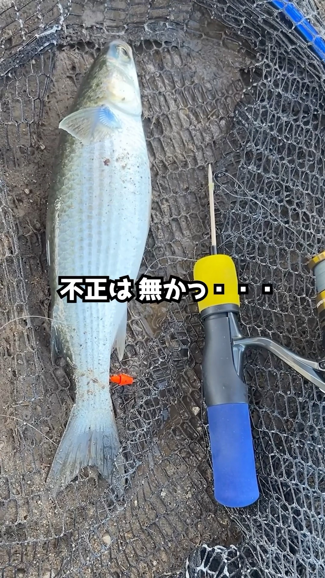 I made a fishing rod out of a toothpick #Snake's Outdoor Journal