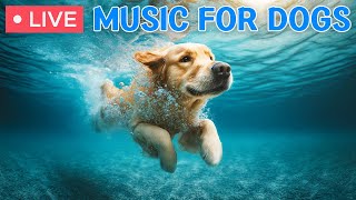 🔴 Dog Music🎵Soothing Music for Dogs🐶🩷Separation Anxiety Music for Dog Relaxation, Calm dogs