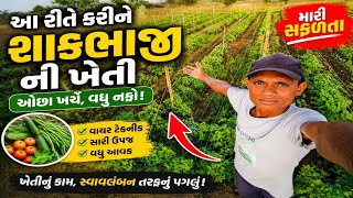 વાયર ટેકનીકથી શાકભાજીની ખેતી કેવી રીતે કરવી?🤔💡 | Vegetable Farming 🌱🧺 | village vlog | Gujarati vlog