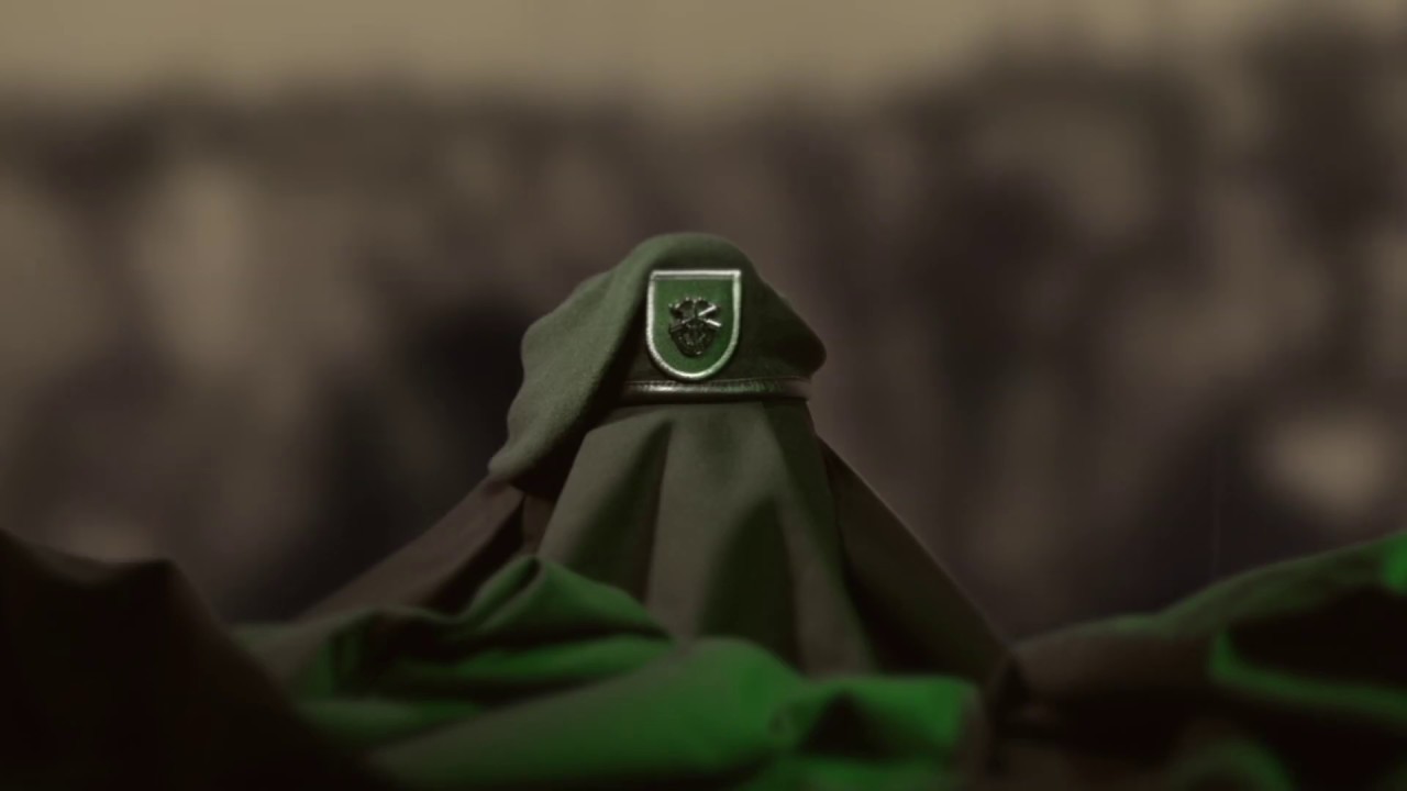 Special Forces Snapshot