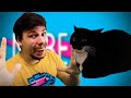 FNF Maxwell The Cat x MrBeast Meme Sings Attack Of The Killer Beast In Real Life