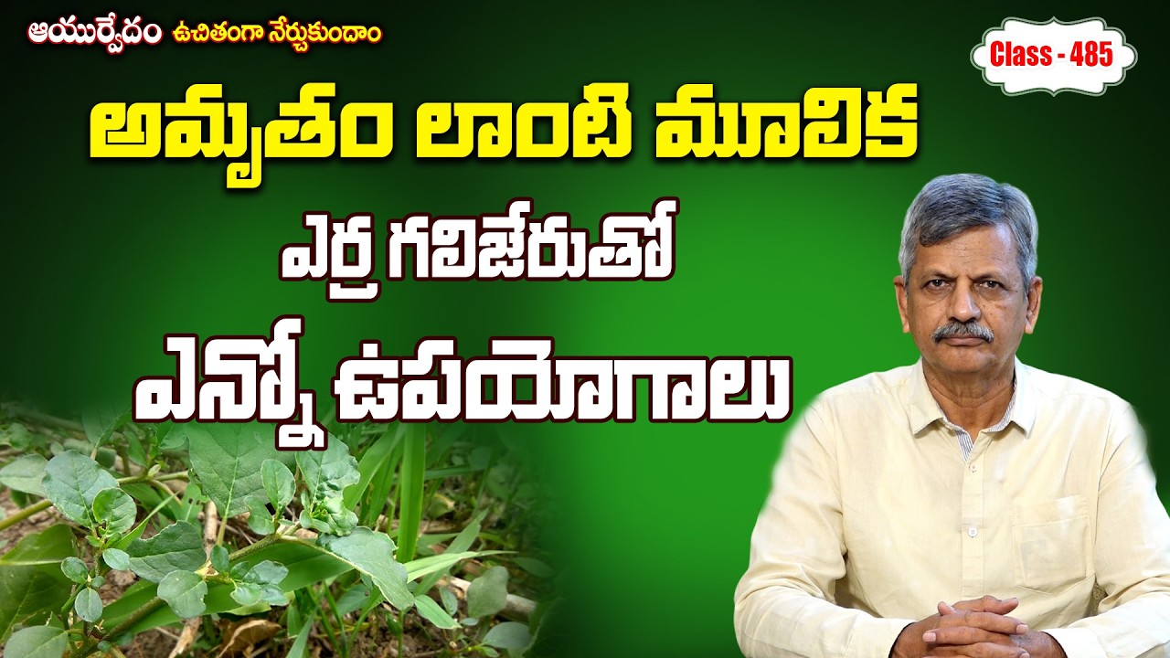 Most Powerful Herb | Free Classes 485 | B. Anjaneya Raju #sreesannidhitv #ayurveda