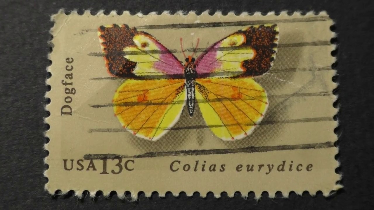 Postage stamp. USA. Butterfly. Dogface. Colias eurydice. Price 13 cents