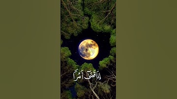 بصوت القارئ |محمد هشام |💚 #quran
