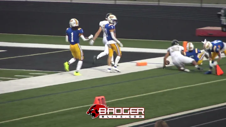2024 RB Terrance Shelton scores three touchdowns i...