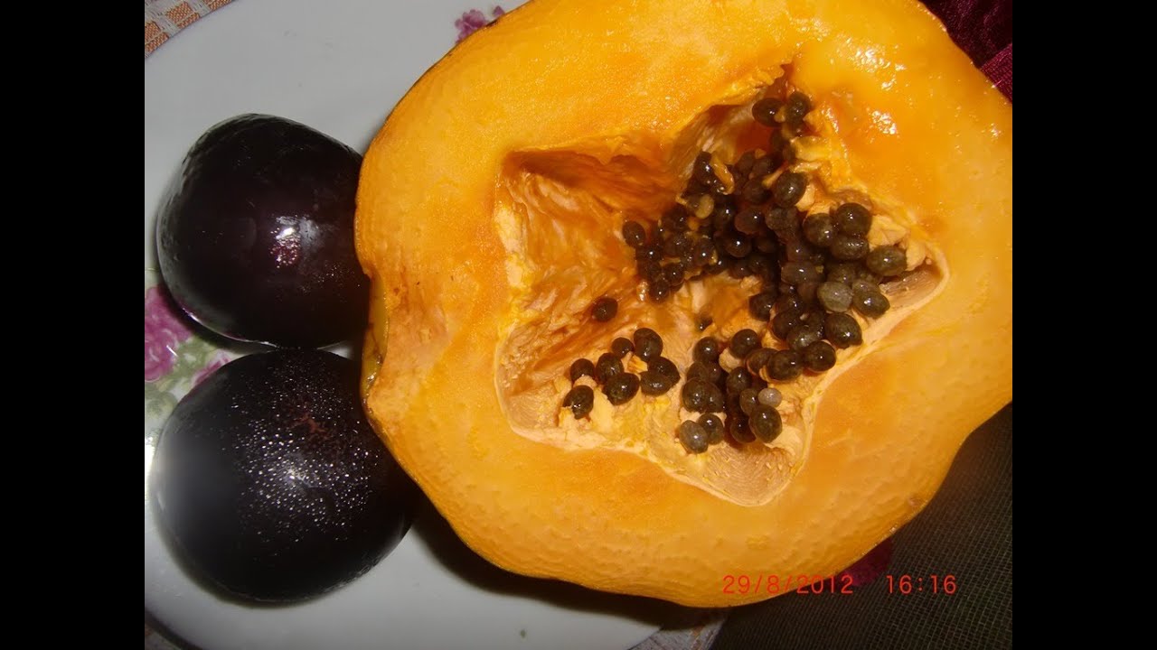 major field of study medicine ¿Estreñimiento? Licuado de semillas y frutas laxantes!