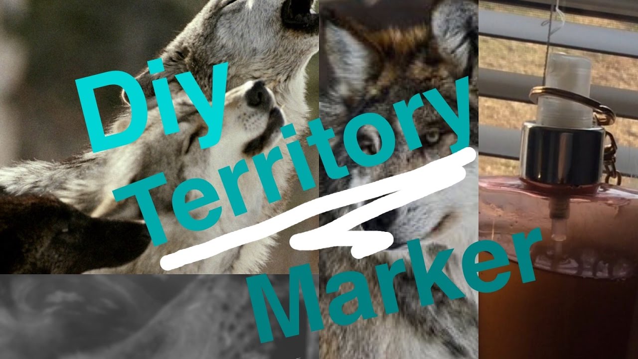 Picture of Diy therian Territory marker - YouTube