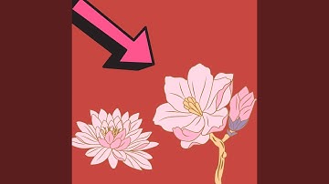 Scintillating Ambience for Calming Summer Nite