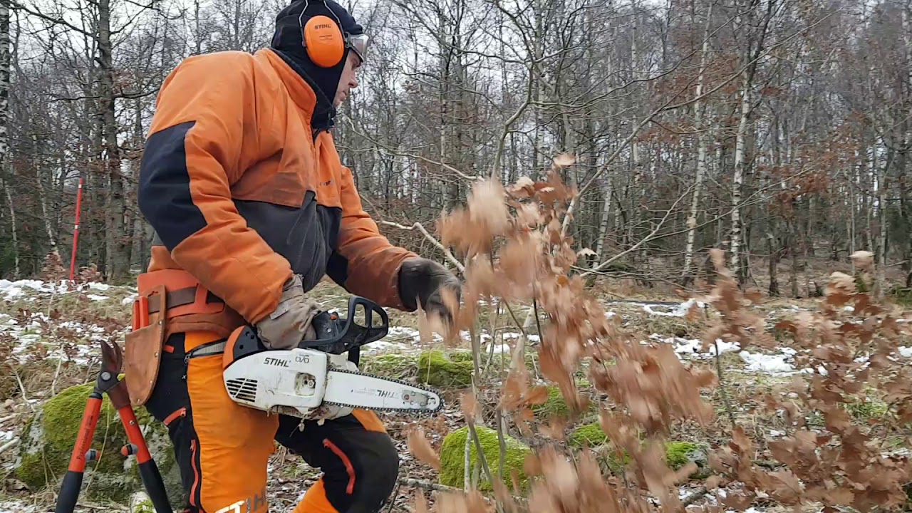 Штиль 150. Stihl MS 150. Stihl Mini Chainsaw MS 150. Бензопила MS 150 TC-E. Бензопила Stihl MS 150 С-Е Carving 12".