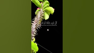 قَالَ فَمَن رَّبُّكُمَا يَا مُوسَىٰ🥀آيات عطرة من سورة طه بصوت القارئ الشيخ احمد خضر🤍 #قرآن