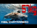 🔱🔱COJO UN MISIL CHATARRERO DE 57 KG 🔱🔱🔩🎯🐟pesca submarina 2020 SPEARFISHING GRUPER1007
