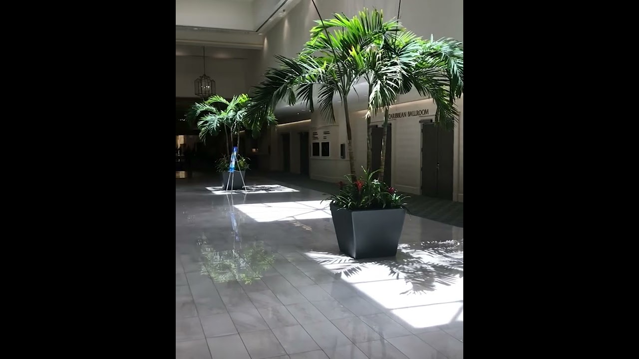 6 Months Out - A Look at the 2022 Accelerate Conference Host Venue: Caribe Royale Resort in Orlando