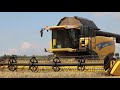 New Holland  CX 8080 в Галицинове ТОВ СГВП «Снігурівське» - «ПАЕК»