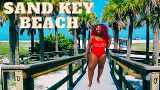 "Shark Alert! Sand Key Beach, Clearwater, Florida 🦈🌊"