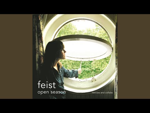 Mushaboom (Postal Service Remix)