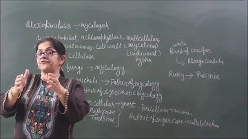 BIO-XI-02-09,Fungi Introduction and General  Account,Pradeep Kshetrapal channel