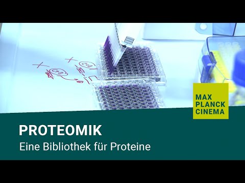 Video: Proteomische Charakterisierung Von Nichtkleinzelligem Lungenkrebs In Einer Umfassenden Translationalen Datenbank Zur Thorakalen Onkologie