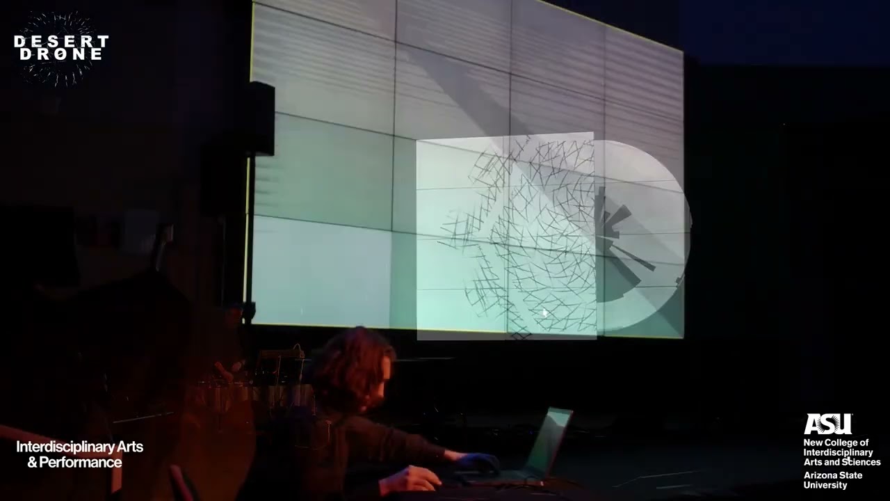 Super Bloom: A Southwest Drone Fest (2025)