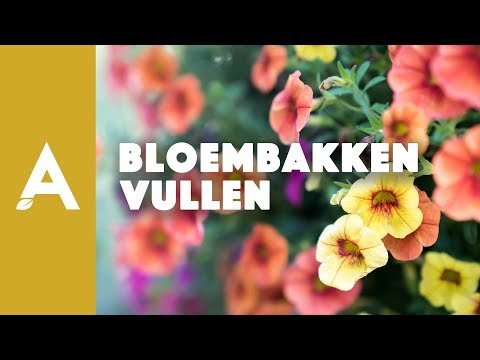 Video: Hoe Bloemen Te Kiezen Voor Bloempotten Voor Buiten