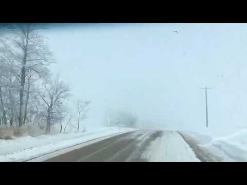 Snowy and foggy in Penhold, Alberta, Canada