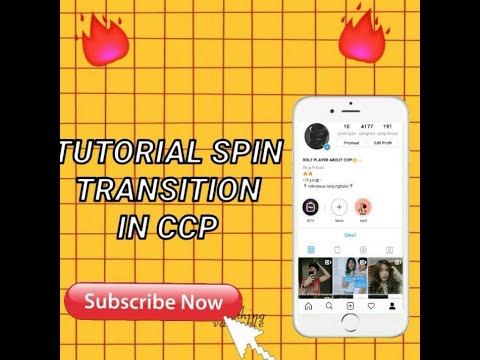 TUTORIAL SPIN TRANSITION IN CCP