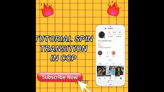 TUTORIAL SPIN TRANSITION IN CCP