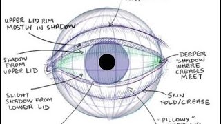 طريقة رسم العين والرموش و الحواجب للمبتدئين