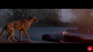 Do Not Abandon For Fondation 30 Millions Damis By Buzzman, Paris