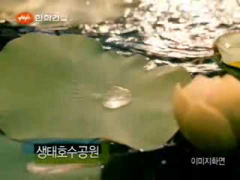 한화건설 꿈에그린 월드 김현주 CF
