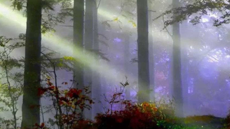 《背包》 蘇有朋  ♥ ♪♫*•♪