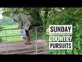 Vlog || A typical Sunday in the country despite lockdown  restrictions