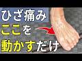 ひざの痛みはここが動かないと治らないです | 大阪市都島区 さかとう整骨院#166