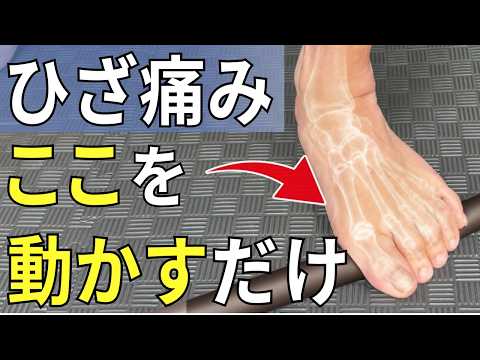 Knee Pain Won't Go Away Unless You Move This Part  |  Sakatou Orthopedic Clinic, Miyakojima-ku, O...