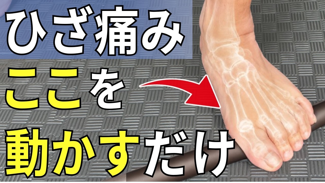 膝を診る目 - The Knee Up Close 膝を診る目 - The Knee Up Close 膝を診る目 - The Knee Up Close Knee