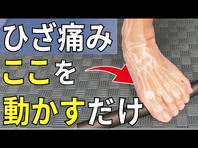 痛み診療キーポイント Knee Pain Won't Go Away Unless You Move This Part | Sakatou