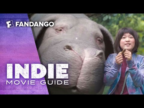 Indie Movie Guide - Okja, The Little Hours, T2 Trainspotting