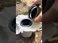 Coffee in nature
