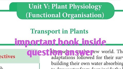 11 th standard/ bio botany(em)/ lesson11/book inside question answer
