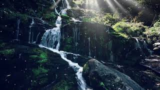 ⛰️✨Soothing Mountain Stream⛰️ 4 HOURS Forest &amp; Waterfall Ambience