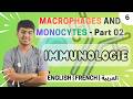 6. Innate immunity - Monocytes and Macrophages Part 02 | Les Monocytes et Macrophages
