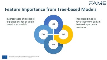 3.1 Introduction to model agnostic explainability techniques