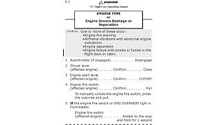 B737-8 QRH Memory Item 06 – Engine Fire or Severe Damage or Separation