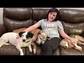 VLOG: Crazy Stories of Our Rescue Dogs