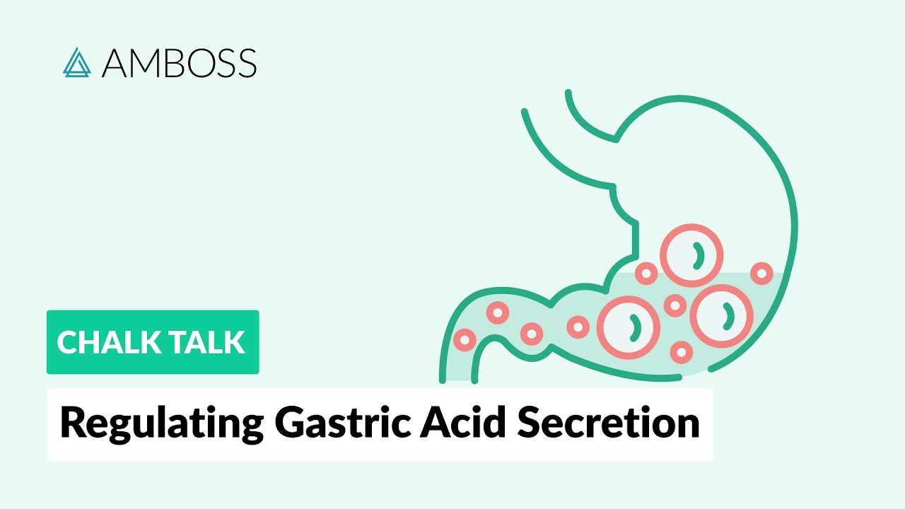 How Is Gastric Secretion Regulated?