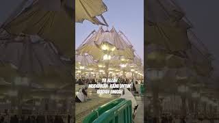 Download Lagu Ya Allah Mudahkan  kami untuk ibadah umrah #salawat #egzonibrahimi MP3